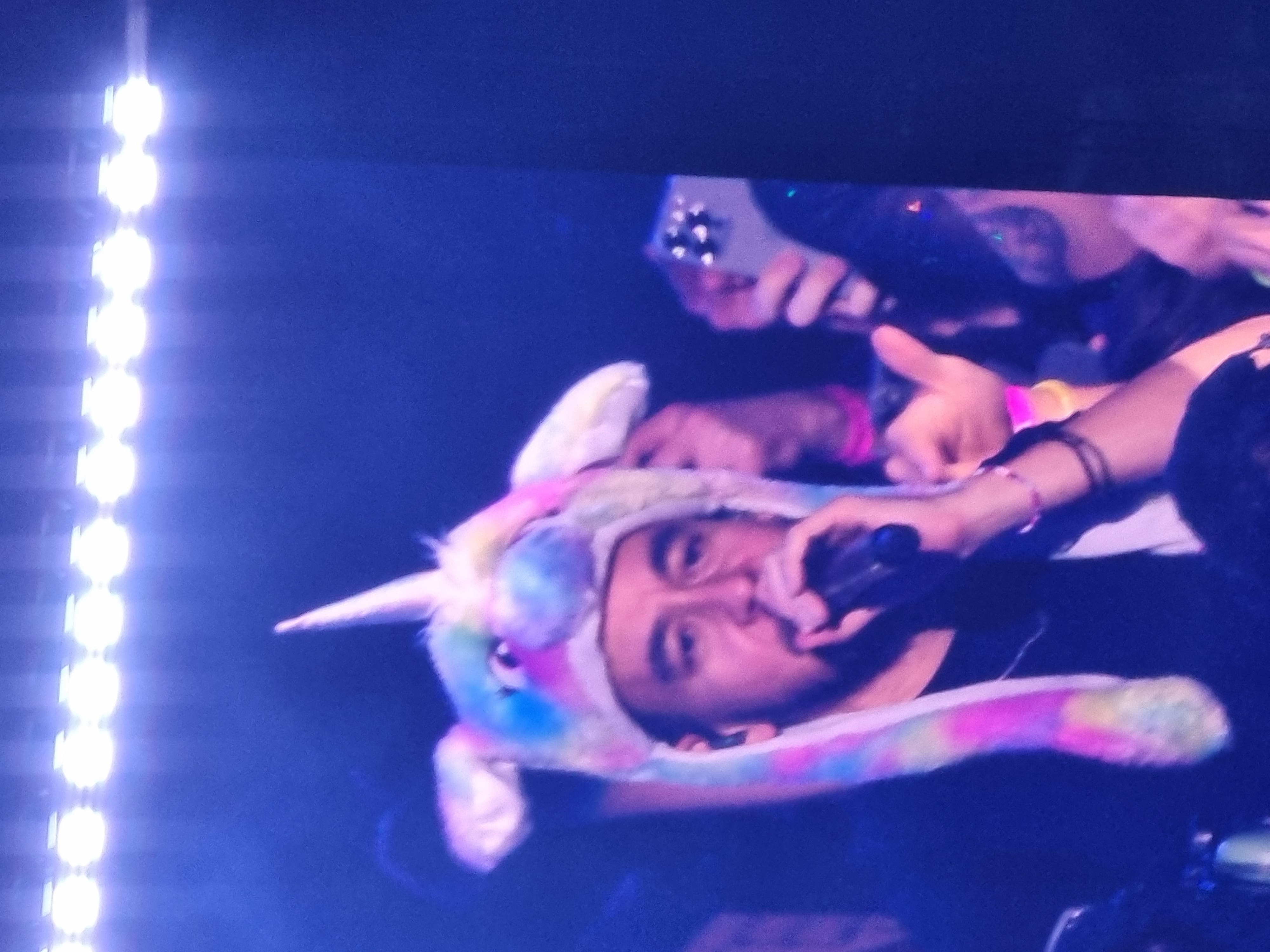 Unicorn Mike Shinoda